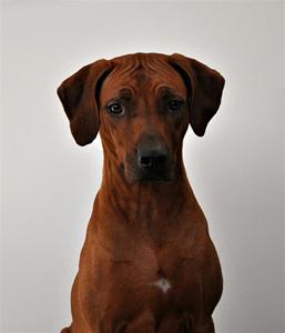 Milie 4 år Milie 4 år