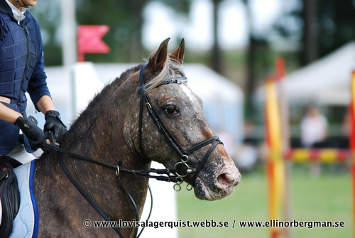 mac spot och emelie hedman spotty