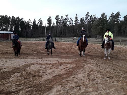 ridning ridning