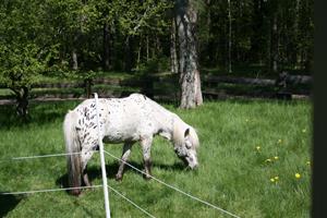 IMG_0545 IMG_0545
