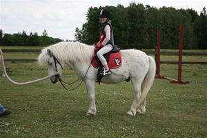 IMG_0741 IMG_0741