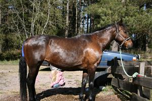 IMG_0398 IMG_0398