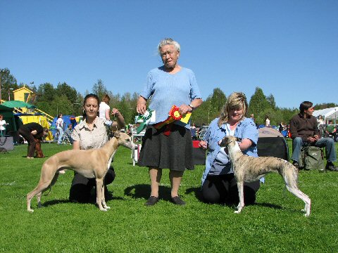 Loivs BIR Piteå SKK 2008 Loivs BIR Piteå SKK 2008