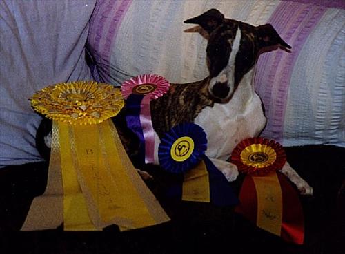 Ronja_cert Ronja_cert