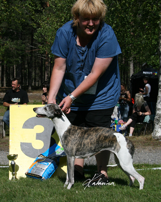 Ronja BIS-3 Västerbottens Vackraste Veteran Ronja BIS-3 Västerbottens Vackraste Veteran