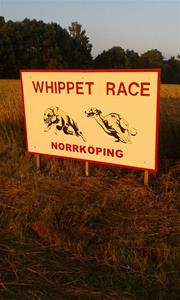 20638406_2345209952371735_6336798151893043035_n 20638406_2345209952371735_6336798151893043035_n
