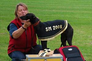 SMHane2008 SMHane2008