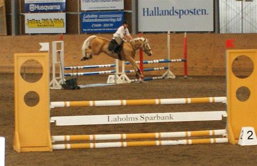 Hajnalhopp1 Hajnalhopp1