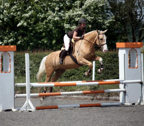 Rebecca og Fleetwood 26. maj 2012 048red Rebecca og Fleetwood 26. maj 2012 048red