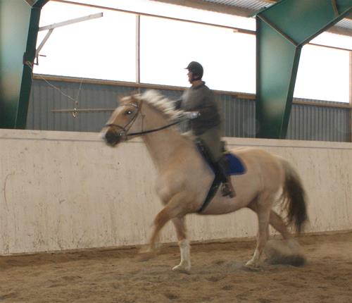 Ringridning Ringridning