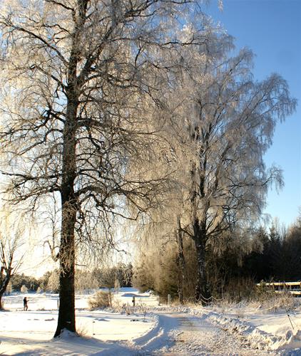 Vinter2012-3 Vinter2012-3