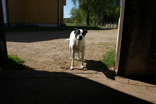 20170526_29 20170526_29