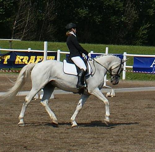 Event8 Event8
