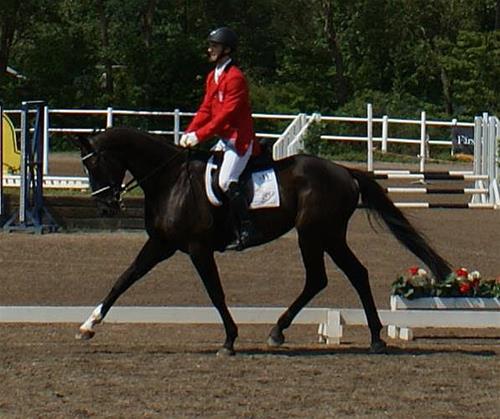 Event7 Event7