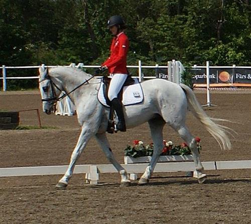 Event5 Event5