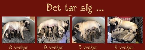857CAED4-5DCE-40DB-9744-4430591EAC5F 857CAED4-5DCE-40DB-9744-4430591EAC5F