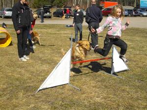 agility2 agility2