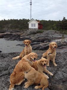 idag5 idag5