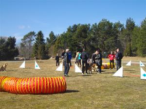 agility agility