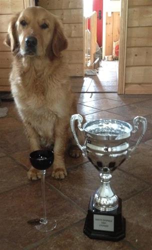lyx.pokal lyx.pokal
