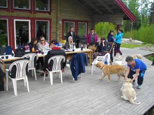 träffmaj15 träffmaj15