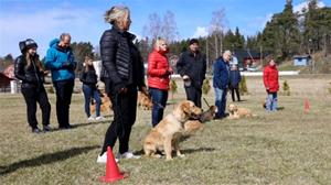 träff8 träff8