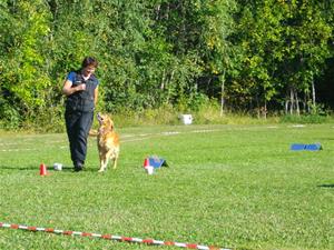 Solglimt.DM Solglimt.DM
