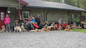 träff2015 träff2015