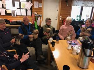 fika ls 19 fika ls 19