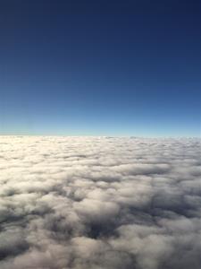 IMG_7135 IMG_7135