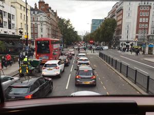IMG_7233 IMG_7233