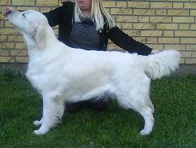 Hanne Hanne