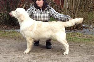 Master Malcolm 6 mån Master Malcolm 6 mån