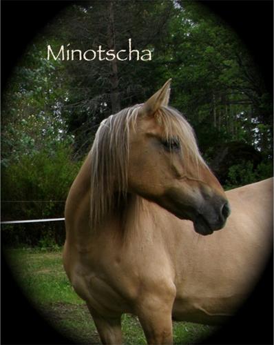 Minna3 Minna3