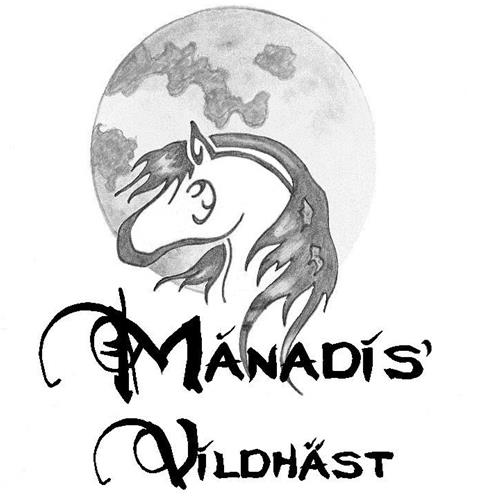 manadis 2a logga(1) manadis 2a logga(1)