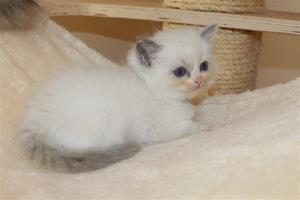 IMG_1940 IMG_1940