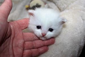 IMG_6907 IMG_6907