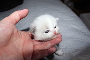 IMG_6701 IMG_6701