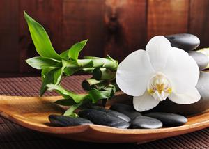 spa4 spa4
