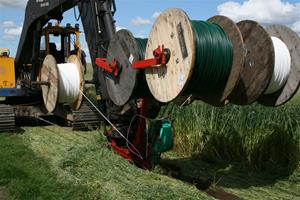 IMG_8910 IMG_8910