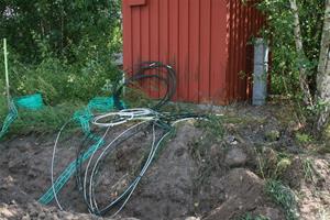 IMG_8912 IMG_8912