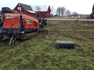 IMG_1935 IMG_1935