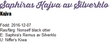 kajvanamn kajvanamn