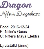 dragonnamn dragonnamn