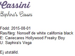 cassininamn cassininamn