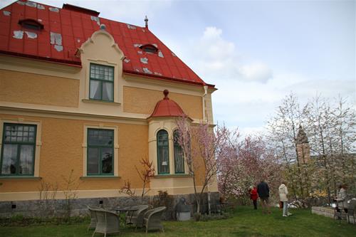 IMG_9656 IMG_9656