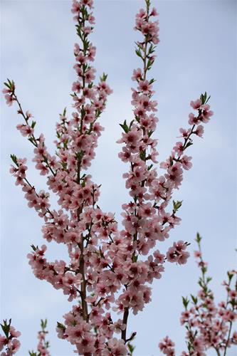 IMG_9659 IMG_9659