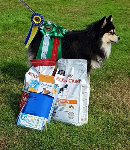 14237719_10208952046191393_12030919820027584_n 14237719_10208952046191393_12030919820027584_n