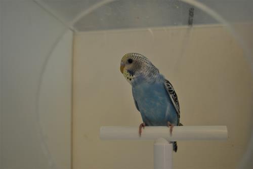 DSC_1904 DSC_1904