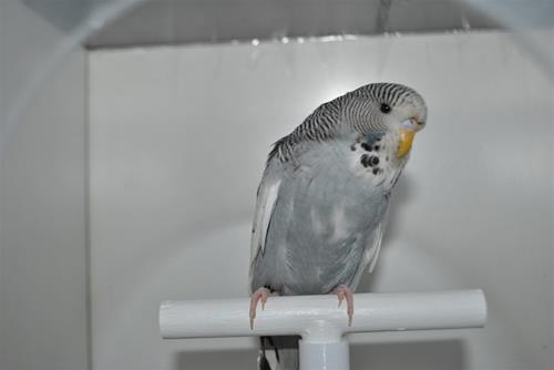 DSC_1864 DSC_1864